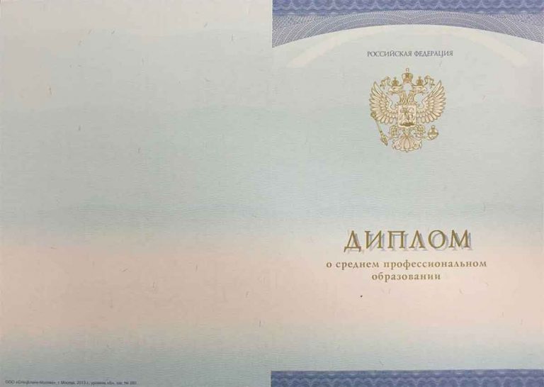 Диплом воспитателя 2014-2020 года